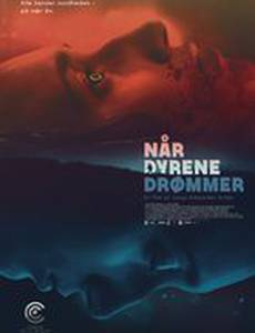 Когда звери мечтают