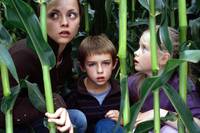 Кадр Город проклятых