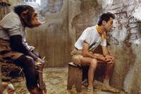 Кадр Месть пернатого змея