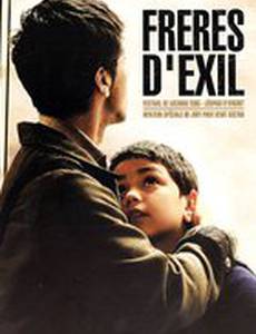 Братоубийство