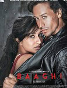 Baaghi