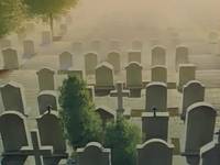 Кадр Ветер амнезии (видео)