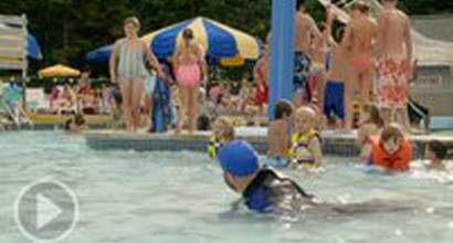 Фрагмент №6