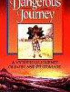 Gefährliche Reise