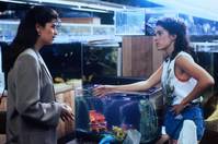 Кадр Братья-сестры, соперники-соперницы