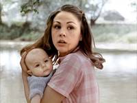 Кадр Вдова Кудер