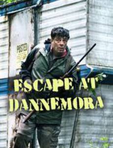Побег из тюрьмы Даннемора