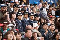 Кадр Взвейся в небо