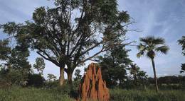 Кадр из фильма "Осажденная крепость" - 1