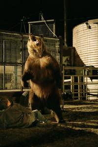 Кадр Незаконченная жизнь