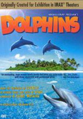 Дельфины