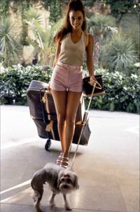 Кадр Красотки