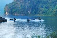 Кадр Ключ Саламандры