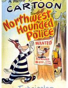 Гонки с преследованием на северо-западе