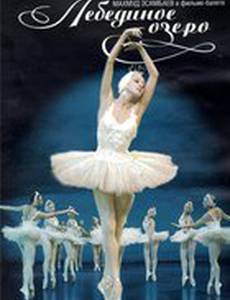 Лебединое озеро