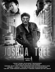 Дерево Джошуа