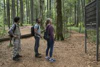 Кадр Лес призраков