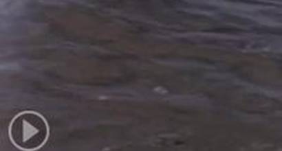 Международный трейлер