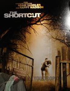 Короткий путь