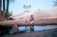 Кадр Под покровом небес