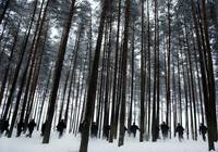 Кадр Король чёртова острова