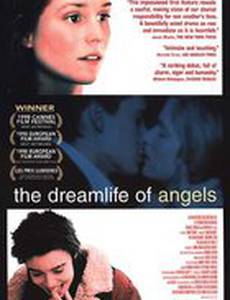 Воображаемая жизнь ангелов