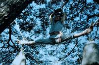 Кадр Король кикбоксеров