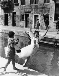 Кадр Летняя пора