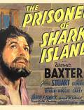 Постер из фильма "Узник острова акул" - 1
