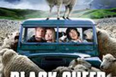 Паршивая овца