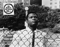 Кадр Изюминка на солнце