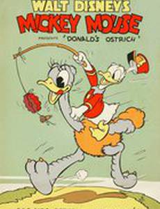 Страус Дональда