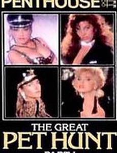 Пентхаус: Большая охота на любимиц (видео)
