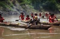 Кадр Зеленый ад