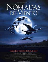 Постер Птицы