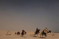 Кадр Черное золото