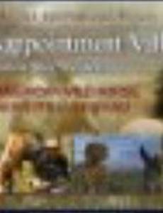 Долина разочарования