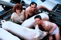 Кадр Эльвира: Повелительница тьмы