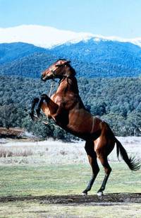 Кадр Дом улыбок