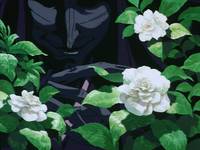 Кадр Манускрипт ниндзя