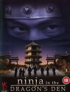 Ниндзя в логове дракона