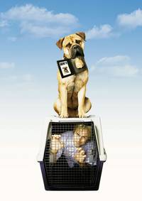 Постер Агент по кличке Спот