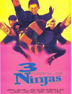 Три ниндзя