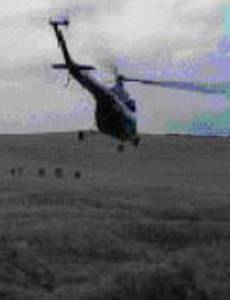 Перед рассветом