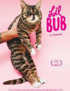 Лил Буб и друзья