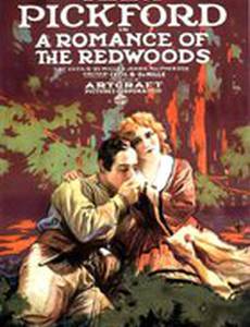 Роман в Редвудс