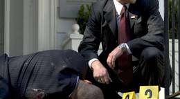 Кадр из фильма "Охранник" - 2