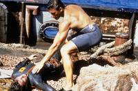 Кадр Черный орел