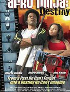 Afro Ninja (видео)