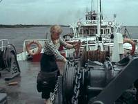 Кадр Без году неделя